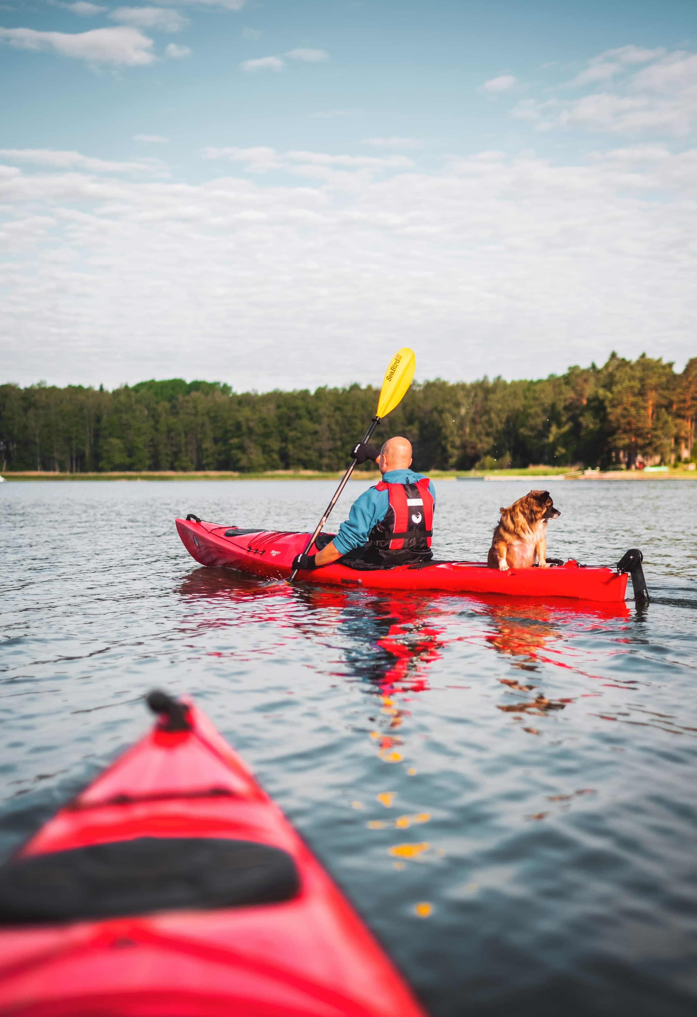 Kayaking en Galicia