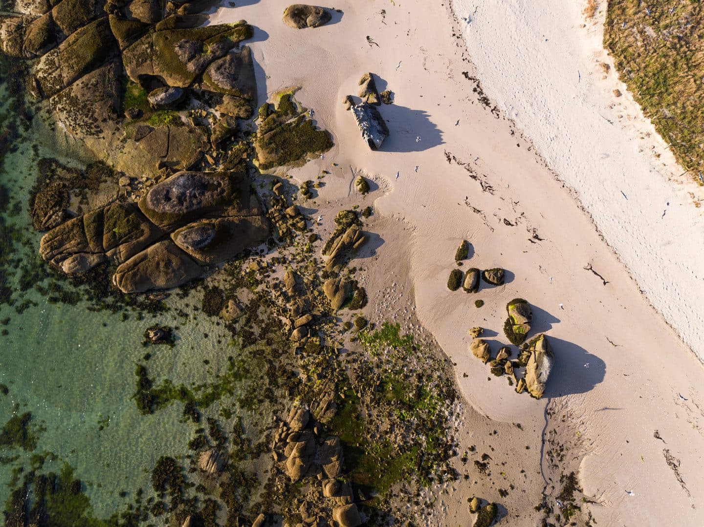 Vista cenital de la orilla del Islote de Areoso: arena blanca, rocas de granito y aguas cristalinas de la Ría de Arousa
